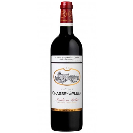 Chateau Chasse-Spleen 2019, Moulis-en-Medoc Rouge CRD CBO 6X75cl